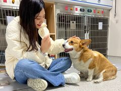 -谐和贝康宠物医院24小时·宠保定点(急重症转诊中心)