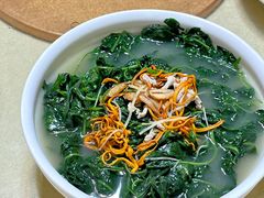 上汤桑叶-八景休閒山莊  廣東十大名山莊