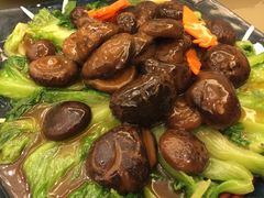 -沙龙酒家
