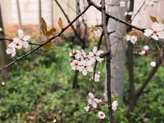 -味多美(鑫都商业广场店)