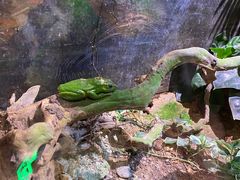 -正佳雨林生态植物园