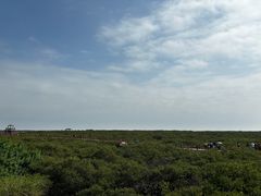 -北海金海湾红树林生态旅游区