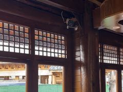 -木王宴语·野生鲜菌火锅(玉河店)