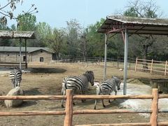 -西安秦岭野生动物园