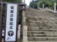 -铁山坪森林公园