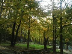 -阳台山自然风景区