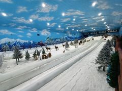 -世界之窗阿尔卑斯冰雪世界