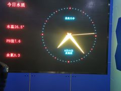 -北京八中游泳馆