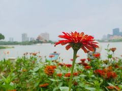 -顺峰山公园