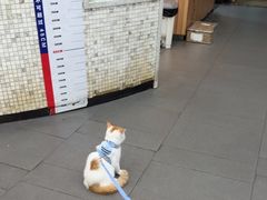 -联合动物医院(光谷诊疗中心)