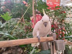 -新世纪绿洲(抚顺店)