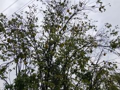 -长洲岛都市农业公园