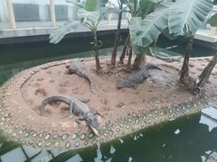 -石家庄市动物园