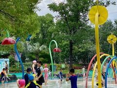 -苏州乐园森林水世界