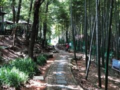 -宝岩生态观光园