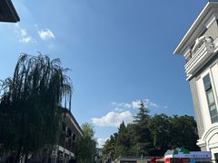 -刘二妈米皮(步行街店)