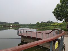 -东郊湿地公园