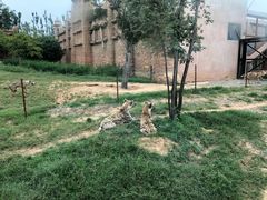 -郑州银基国际旅游度假区