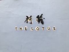-几荷·恰似故人来(秀水广场店)
