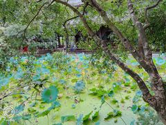 -成都武侯祠博物馆