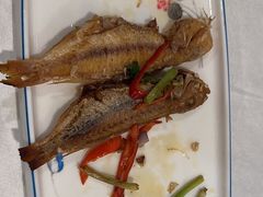 -五谷芳乳鸽王(梅沙老店)