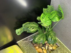 -不迫先生专业男士剪发