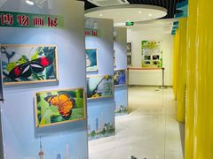 -上海昆虫博物馆