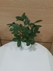 -重庆联合丽格美容医院