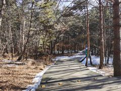 -帽儿山国家森林公园