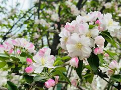 -元大都城垣遗址公园