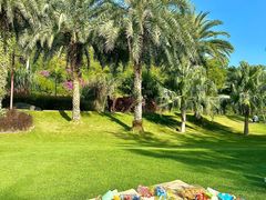 -长白岛森林公园