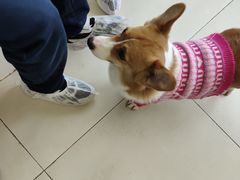 -怪兽屋·羊驼·猫咖·狗咖(俊华广场店)