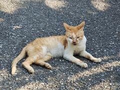 -棠樾牌坊群鲍家花园景区