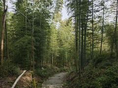 -会稽山峡洞漂流-上青古道