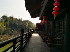 -大唐贡茶院
