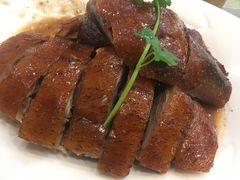 -椿记烧鹅(叠彩店)