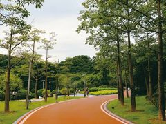 -飞凤山奥体公园