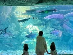 -泉城欧乐堡海洋极地世界