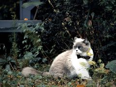 -糖果时光文创产业园