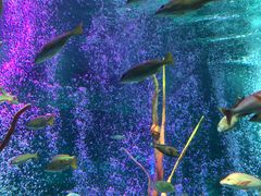 -沈阳海洋探索中心