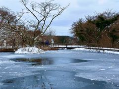 -济州森林小火车生态公园