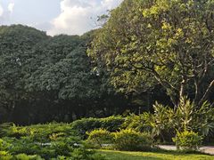-荔香公园
