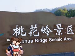-桃花岭景区