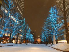 -北海道厅旧本厅舍(旧本庁舎)