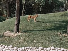 -北京野生动物园