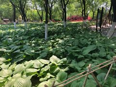 -济南植物园