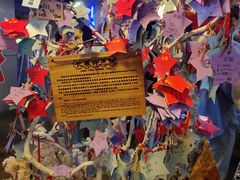 -长藤鬼校(龙翔店)