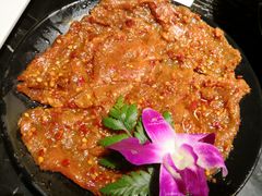 牛肉-红鼎坊·老成都火锅(新南门店)