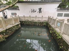 -墨池公园