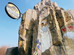 -顾村公园